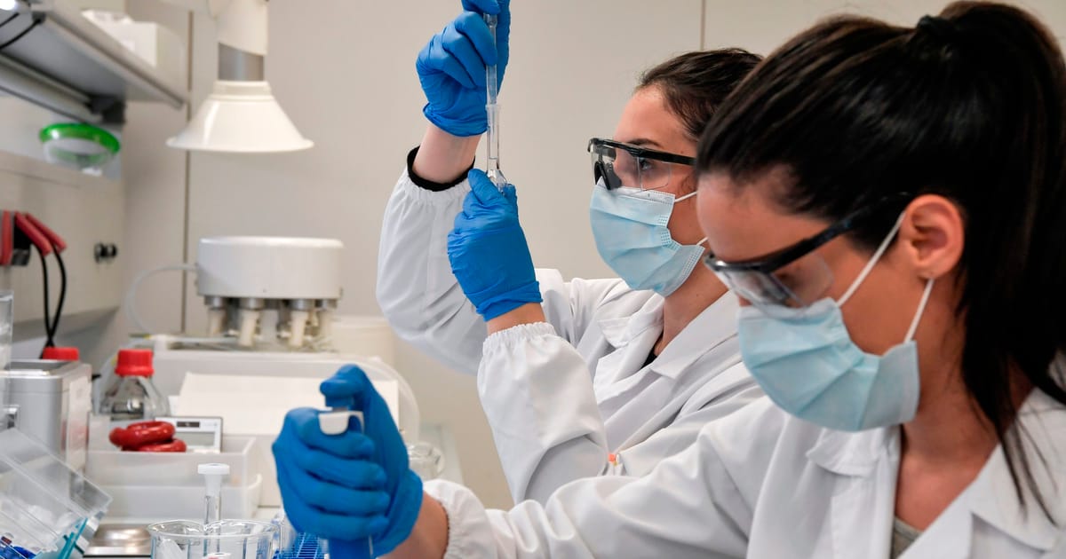 HealthPlus Pharma / Online Pharmacist