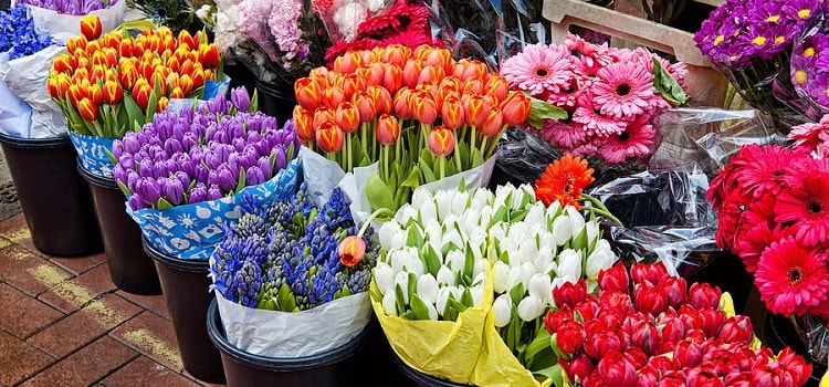 BlossomBloom Flower Stall  / 【Remote Flower Seller assistant】
