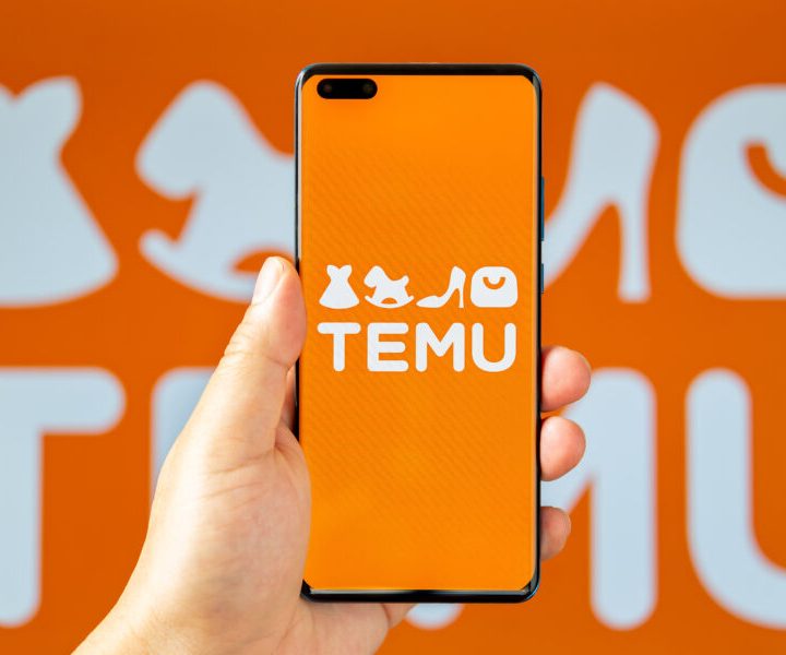 temu-all-remote-work